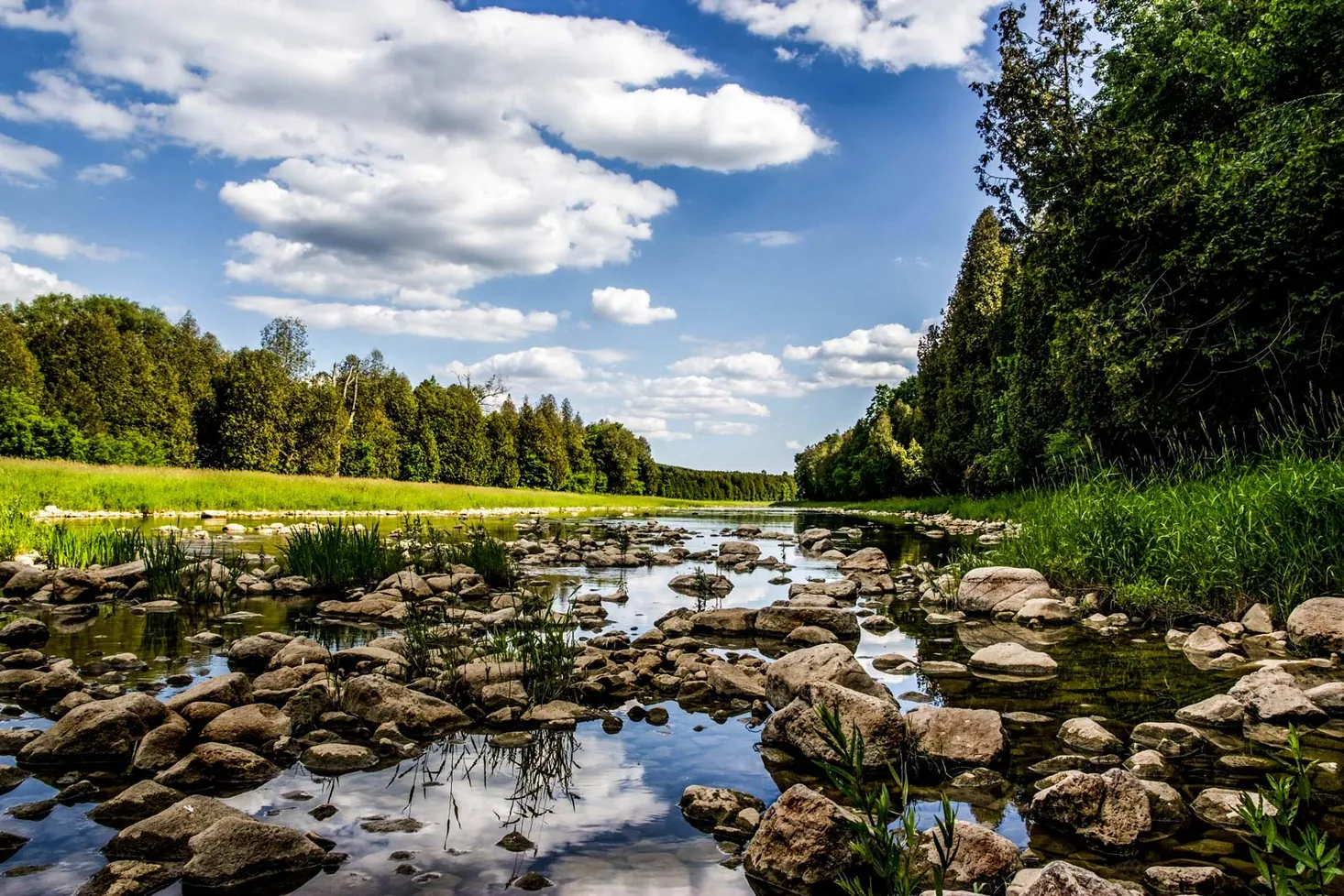 River and conservation area near Grand Valley